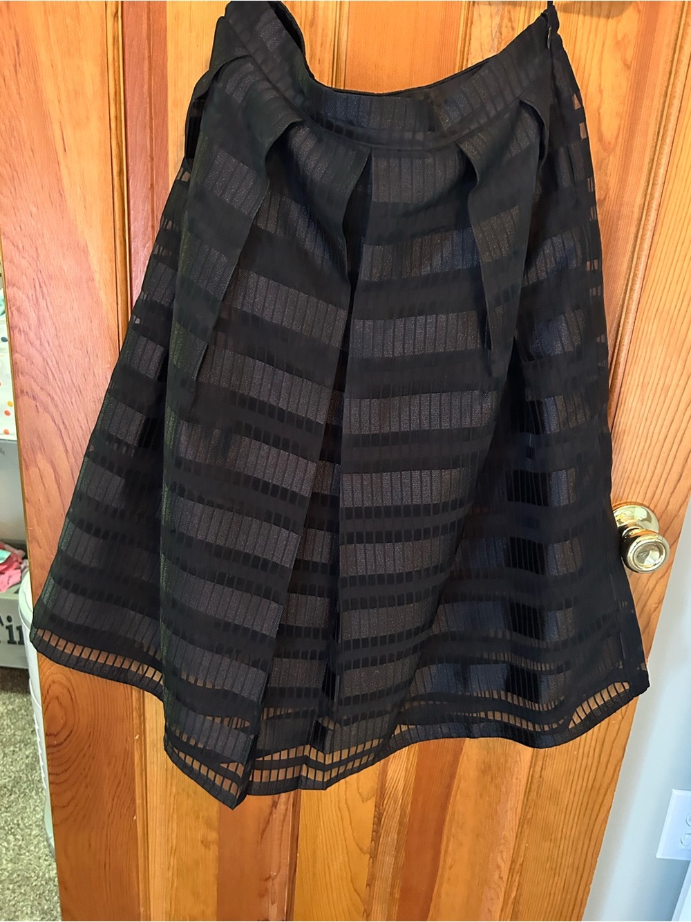 Black A-Line Sheer Stripe Skirt